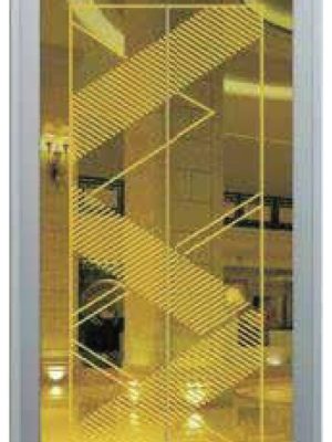 Mẫu thang máy gia đình cửa họa tiết trang trí